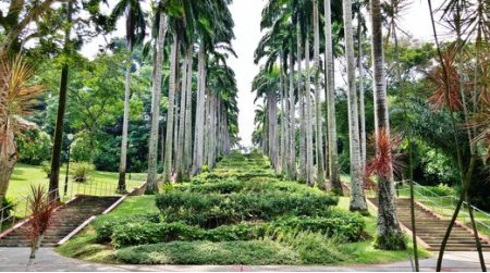 Family-Centric Living: Comfort and Community at Lentor Gardens Residences